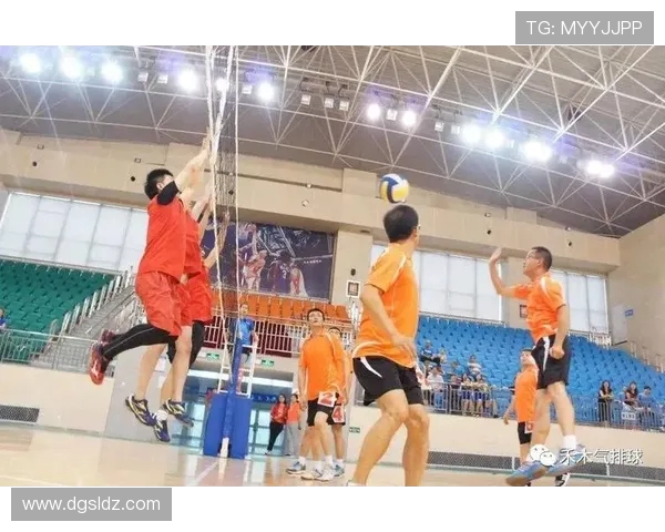 北京排球队战术解析与提升策略探讨助力球队更上一层楼