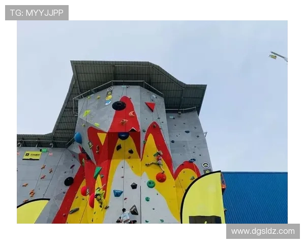 杭州攀岩队运营分析：成功经验与面临挑战的深度探讨