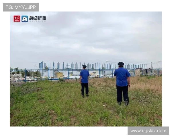 杭州街舞队现状分析与未来发展趋势的深度探讨