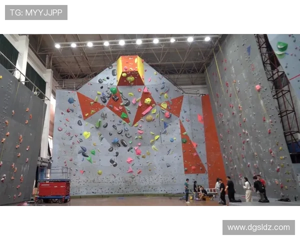 武汉攀岩队个人能力提升之路热议攀岩运动的变革与发展