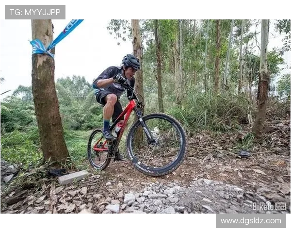 赛后分析:西安极限运动队与重庆极限运动队的战术对决与启示 赛后分析:西安极限运动队与重庆极限运动队的战术对决与启示